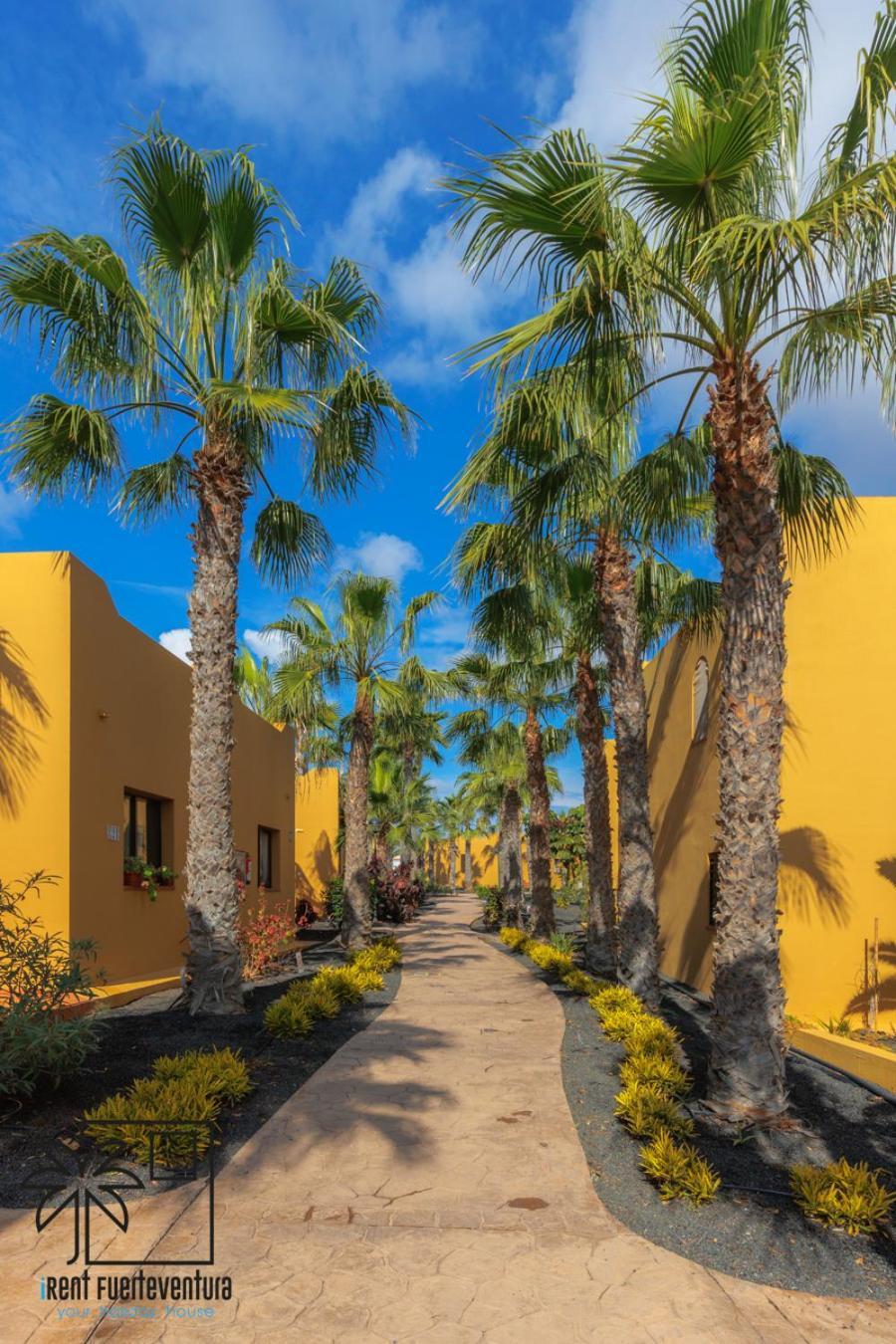 Apartment Casa Alisio Papagayo Irent Fuerteventura *